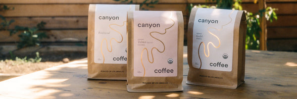 Canyon限定コーヒー豆一袋 Canyon Instant Bulk Box - 48 Packets of Instant | Canyon Coffee