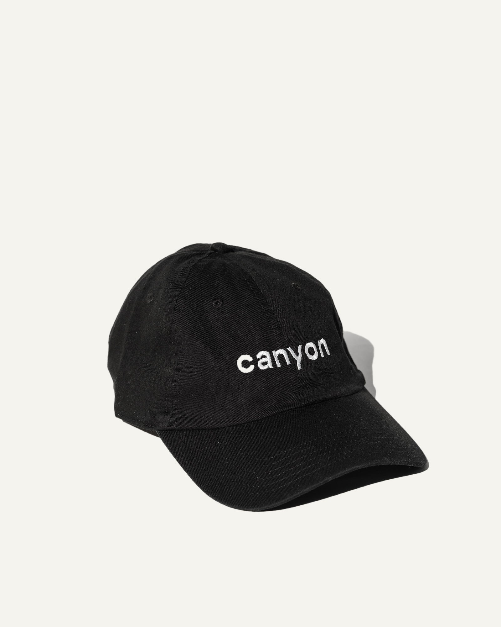 Canyon Coffee Dad Hat in Black